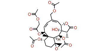 Fragilolide M